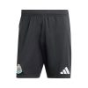 Thailandia Pantaloni Newcastle United Prima 2024 2025