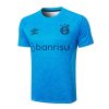Thailandia Maglietta Calcio Formazione Gremio FBPA 2024 2025 Blu