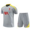 Thailandia Maglietta Calcio Formazione Liverpool 2024 2025 Grigio