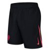 Thailandia Pantaloni Chelsea Terza 2024 2025