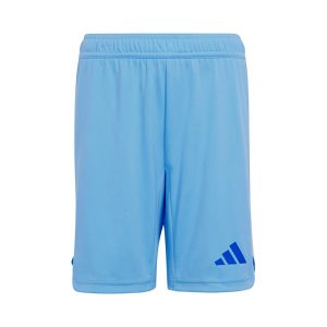 Thailandia Pantaloni Real Madrid Prima Portiere 2024 2025