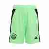 Thailandia Pantaloni Bayern Monaco Portiere 2025 2026 Verde