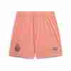 Thailandia Pantaloni FC Porto Away 2025 2026