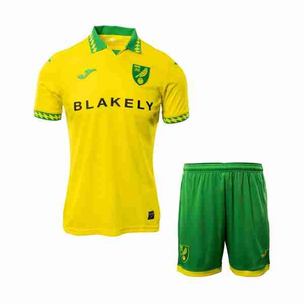 Camiseta Norwich City 1ª Niño 2025-2026 Maglia Calcio Norwich City Set Bambino Prima 2025 2026
