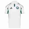 Thailandia Maglietta Calcio Away Panathinaikos 2025 2026