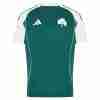 Thailandia Maglietta Calcio Prima Panathinaikos 2025 2026