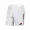 Thailandia Pantaloni Aston Villa Terza 2025 2026