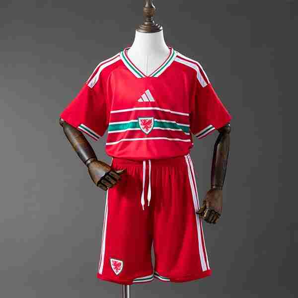Camiseta Gales 1ª Niño 2026 Maglia Calcio Gales Set Bambino Prima 2026
