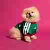 Maglietta Calcio Messico Animale Domestico 2026