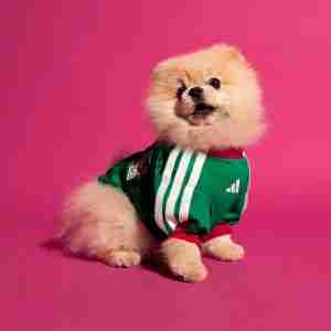 Maglietta Calcio Messico Animale Domestico 2026