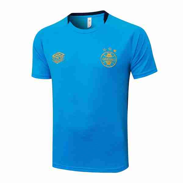 Camiseta Entrenamiento Grêmio FBPA 2025-2026 Azul 4 Thailandia Maglietta Calcio Formazione Gremio FBPA 2025 26 Blu